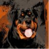 flat750x075f pad750x1000f8f8f8 3 - Rottweiler Gifts