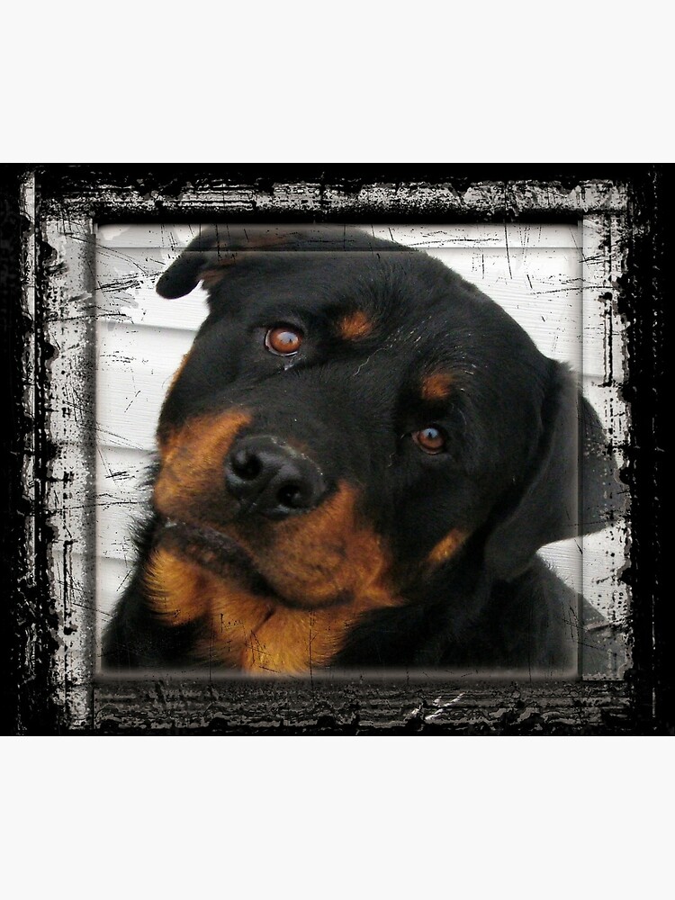 flat750x075f-pad750x1000f8f8f8.u15-18 flat750x075f pad750x1000f8f8f8.u15 18 - Rottweiler Gifts