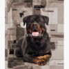 flat750x075f pad750x1000f8f8f8.u15 8 - Rottweiler Gifts