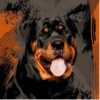flat750x075f pad750x750f8f8f8 30 - Rottweiler Gifts