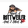 flat750x075f pad750x750f8f8f8 32 - Rottweiler Gifts