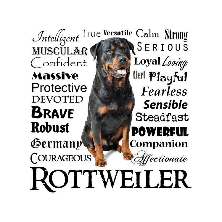 flat750x075f-pad750x750f8f8f8-6 flat750x075f pad750x750f8f8f8 6 - Rottweiler Gifts