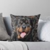 urthrow pillow couch smallsquare1000x1000 20 - Rottweiler Gifts